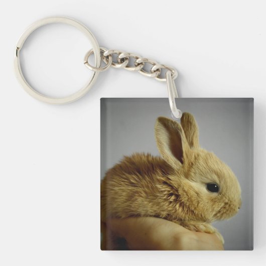 Cute Baby Bunny Rabbit in Hand Sleutelhanger (Voorkant)