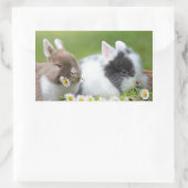 Cute Baby Bunny Rabbits with Flowers Rechthoekige Sticker (Tas)