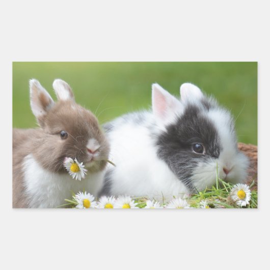 Cute Baby Bunny Rabbits with Flowers Rechthoekige Sticker (Voorkant)