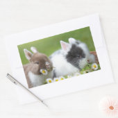 Cute Baby Bunny Rabbits with Flowers Rechthoekige Sticker (Envelop)