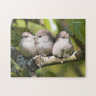 Cute Baby Bushtit Songbird in de perenboom Legpuzzel