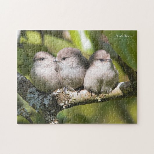 Cute Baby Bushtit Songbird in de perenboom Legpuzzel (Horizontaal)