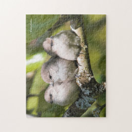 Cute Baby Bushtit Songbird in de perenboom Legpuzzel
