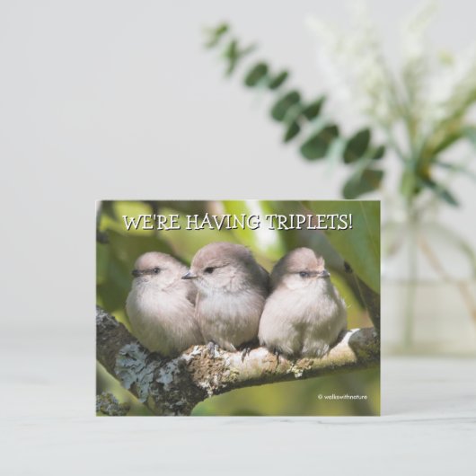 Cute Baby Bushtit Songbird in Pear Tree Briefkaart (Staand voorkant)