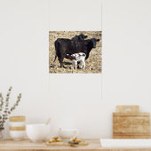 Cute Baby Calf Nursing on Mama Koe Poster (Keuken)