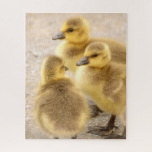 Cute Baby Canada Gese Soft Bird Natuur Legpuzzel