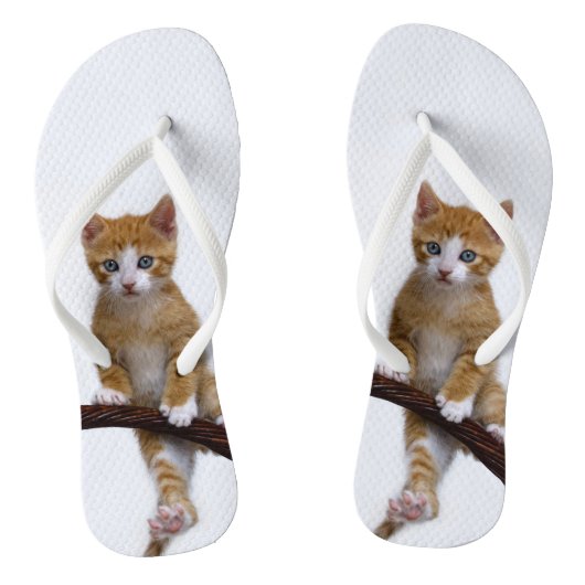 Cute Baby Cat Kitten Funny Gym Foto op - Teenslippers (Voetbed)