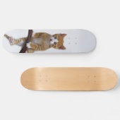Cute Baby Cat Kitten Funny Gym Foto - Skateboard (Horizontaal)
