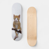Cute Baby Cat Kitten Funny Gym Foto - Skateboard (Voorkant)