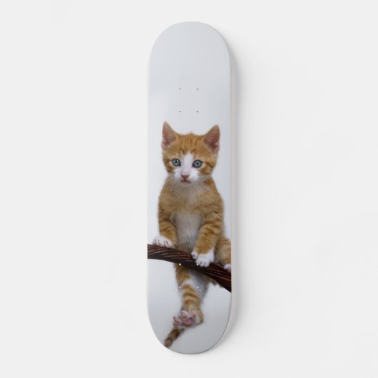 Cute Baby Cat Kitten Funny Gym Foto - Skateboard (Voorkant)