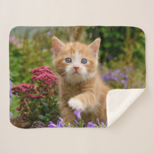 Cute Baby Cat Kitten Pet Dierenfoto Sherpa Deken