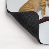 Cute Baby Cats Kittens Funny Gym Muismat (Hoek)