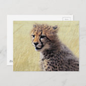 Cute baby Cheetah Cub Briefkaart (Voorkant / Achterkant)