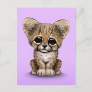 Cute Baby Cheetah Cub op Paars  Briefkaart