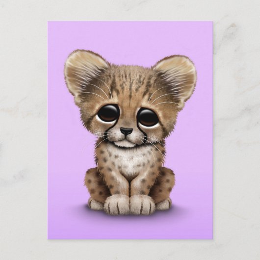 Cute Baby Cheetah Cub op Paars  Briefkaart (Voorkant)