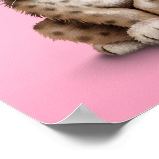 Cute Baby Cheetah Cub op Roze Poster (Hoek)