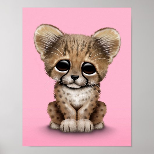 Cute Baby Cheetah Cub op Roze Poster (Voorkant)