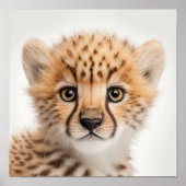 Cute Baby Cheetah Portrait | Vierkant 1:1 Poster (Voorkant)