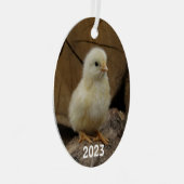 Cute Baby Chick Metalen Ornament (Voorkant Rechts)