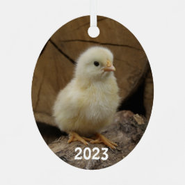 Cute Baby Chick Metalen Ornament