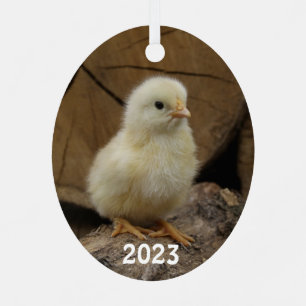 Cute Baby Chick Metalen Ornament