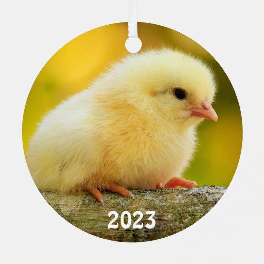 Cute Baby Chick Metalen Ornament (Achterkant)