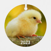 Cute Baby Chick Metalen Ornament (Voorkant)