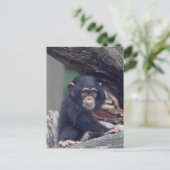 cute baby Chimpanzee Briefkaart (Staand voorkant)
