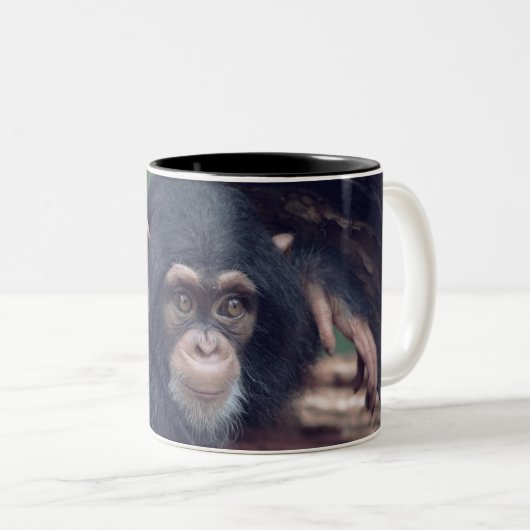 cute baby Chimpanzee Tweekleurige Koffiemok (Voorkant rechts)