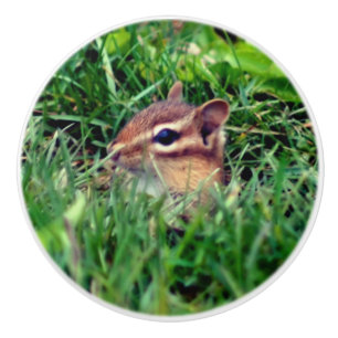 Cute Baby Chipmunk Peeking Wildlife Keramische Knop