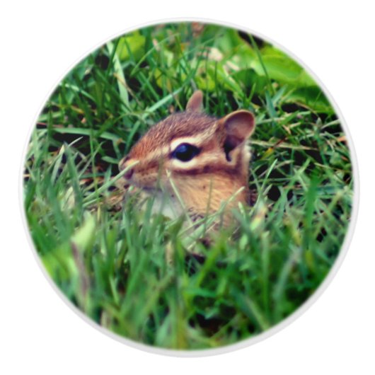 Cute Baby Chipmunk Peeking Wildlife Keramische Knop (Voorkant)
