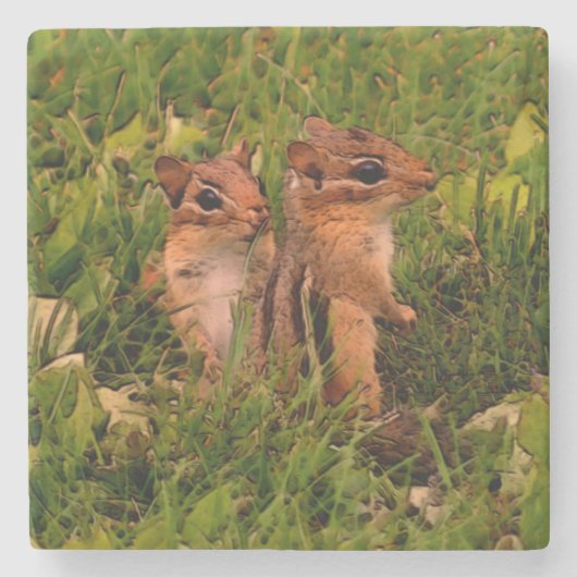 Cute Baby Chipmunks Animal Art Stenen Onderzetter (Voorkant)