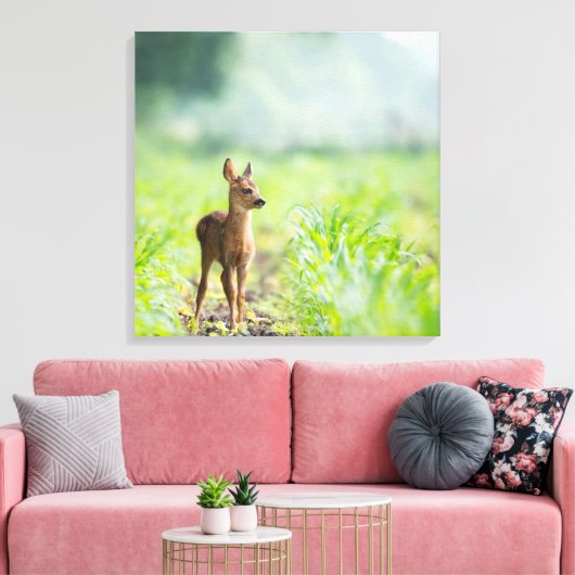 Cute Baby Deer Fawn in Grass Natuur Photography Canvas Afdruk (Insitu (Woonkamer))
