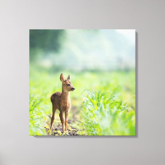 Cute Baby Deer Fawn in Grass Natuur Photography Canvas Afdruk (Voorkant)