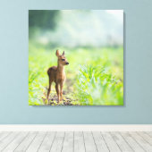 Cute Baby Deer Fawn in Grass Natuur Photography Canvas Afdruk (Insitu (Houten vloer))