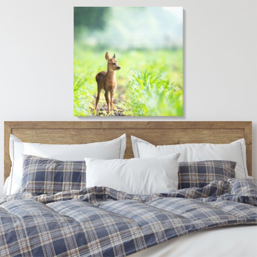 Cute Baby Deer Fawn in Grass Natuur Photography Canvas Afdruk (Insitu (Slaapkamer))
