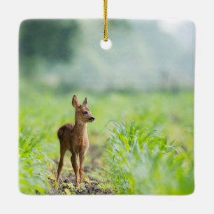 Cute Baby Deer Fawn in Grass Natuur Photography Keramisch Ornament