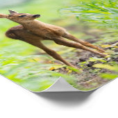 Cute Baby Deer Fawn in Grass Natuur Photography Poster (Hoek)