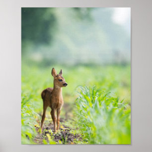 Cute Baby Deer Fawn in Grass Natuur Photography Poster
