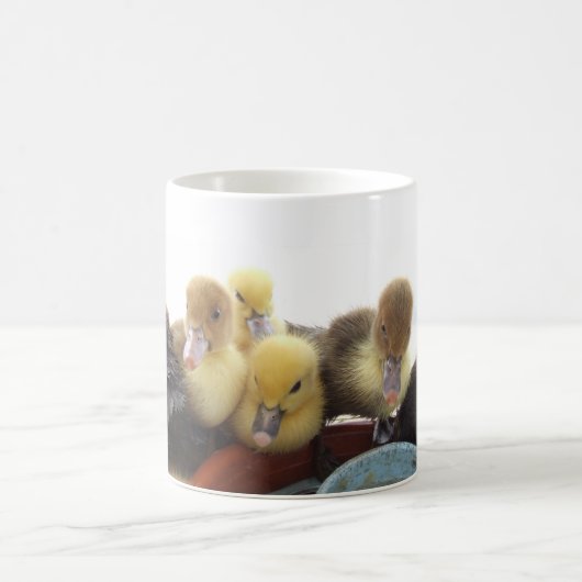 Cute Baby Ducks Koffiemok (Center)