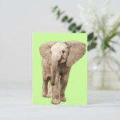 Cute Baby Elephant Briefkaart (Staand voorkant)