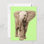 Cute Baby Elephant Briefkaart (Voorkant / Achterkant)