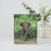 Cute Baby Elephant Briefkaart (Staand voorkant)