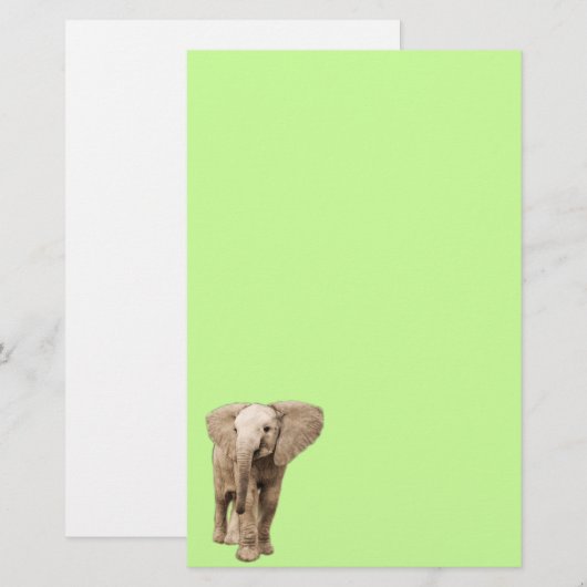 Cute Baby Elephant Briefpapier (Voorkant / Achterkant)