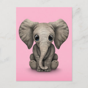 Cute Baby Elephant Calf Sitting Down, Roze Briefkaart