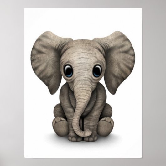 Cute Baby Elephant Calf Sitting Down, White Poster (Voorkant)
