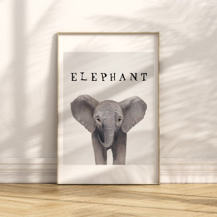 Cute Baby Elephant Kinder Poster