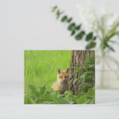 Cute baby fox in springtijdfoto briefkaart (Staand voorkant)