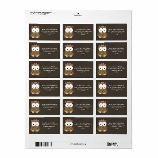 Cute Baby Girl Owl met Roze Bow Etiket (Full Sheet)