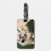 Cute Baby Goat Bagagelabel (Achterkant verticaal)